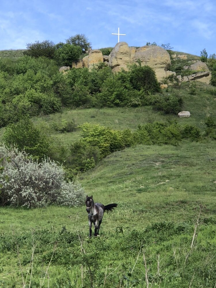 Луксозна къща под наем