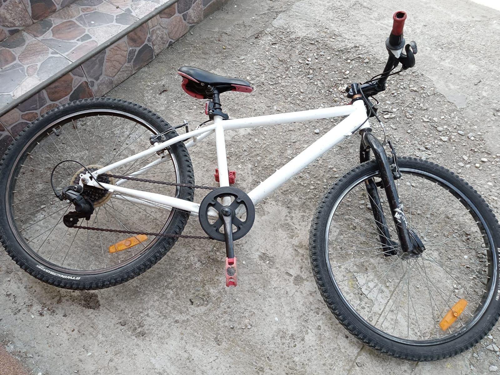 Bicicleta roți pe 24