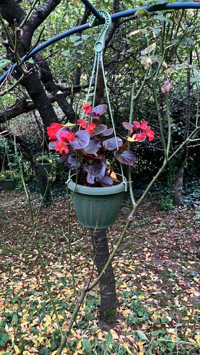 Vand teren din zona Platou Tudor