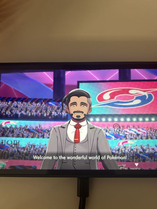 Pokemon Sword Nintendo Switch