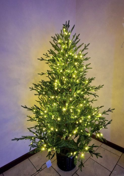 Ёлки акции скидки доставка бесплатная