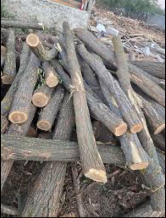 Vand SPALIERI de salcam si lemn de foc