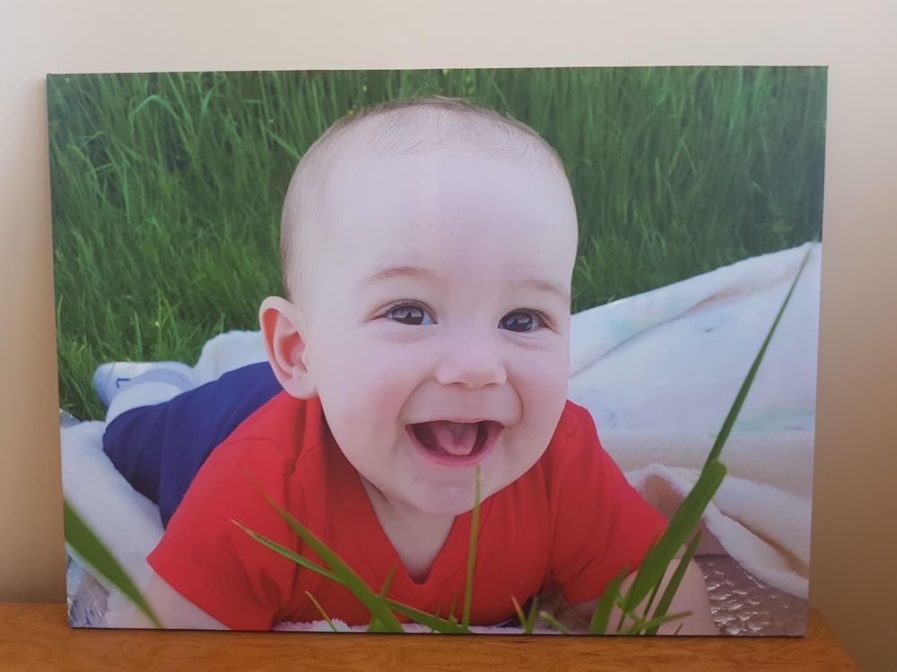 Tablouri panza canvas