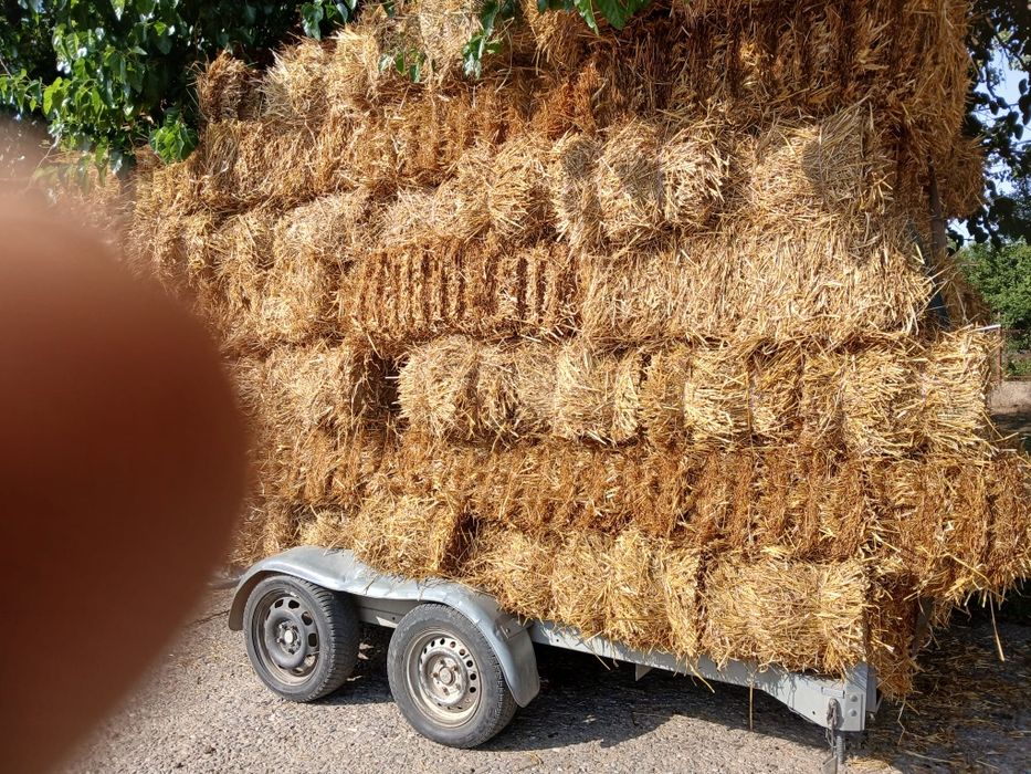 Baloti de paie făcuți din grâu