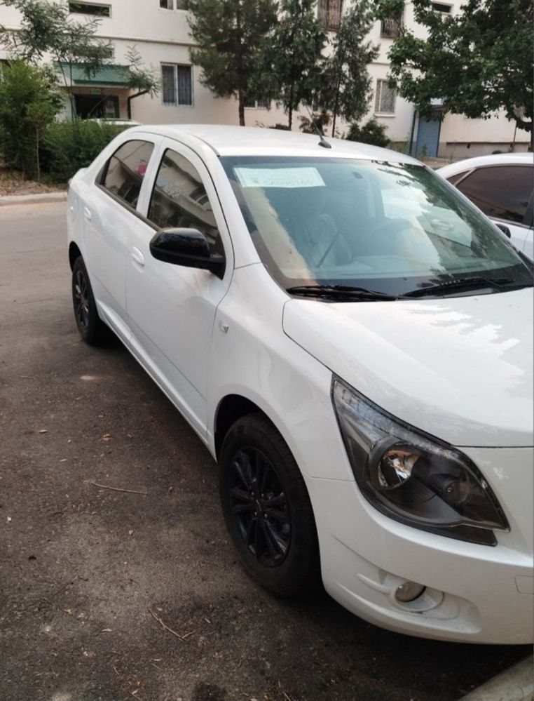 Masla cobalt Midnight. Bugun chiqti
