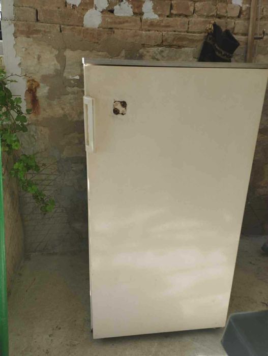 Домашен хладилник