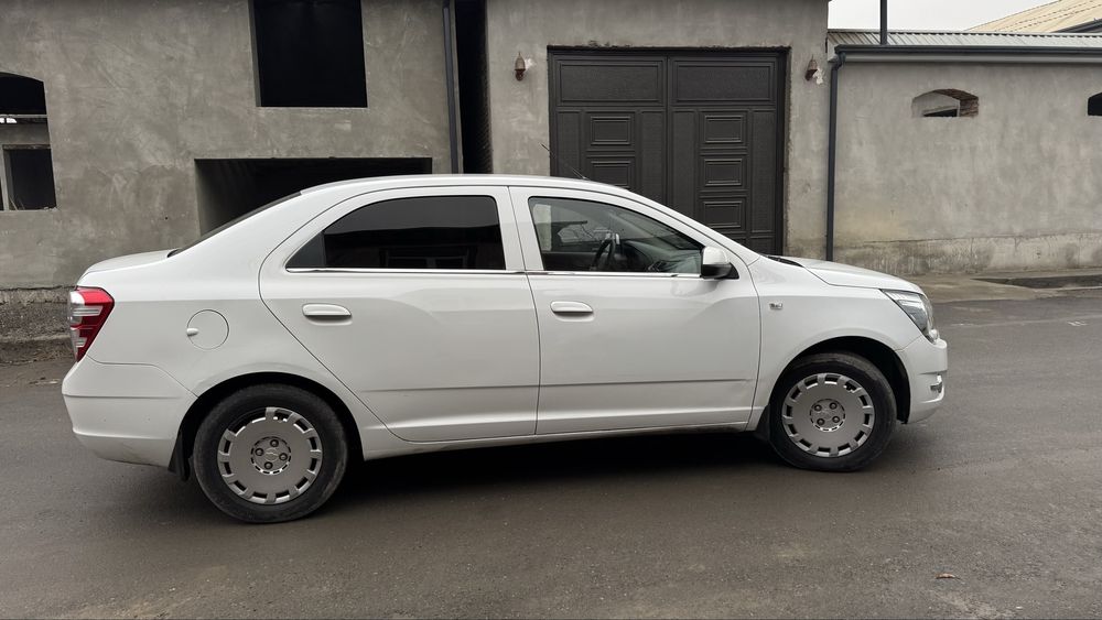 Coblt 2014  2 pazitsa