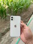 Iphone 11 Sotiladi 2 ta bor Qora rangi ham bor