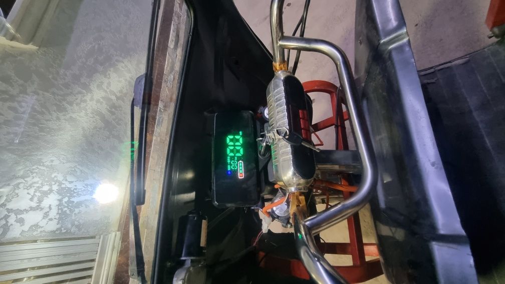 Elektroni murave
