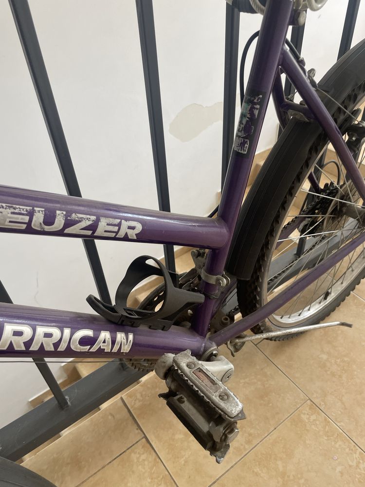Bicicleta fete mov
