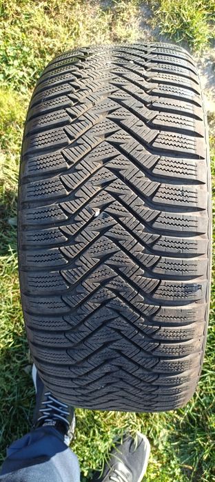 Anvelope de iarnă M:S. 225/50 /17