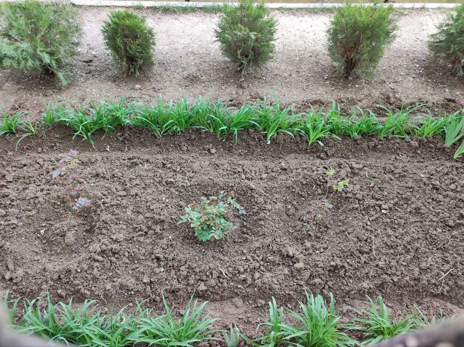 Юнусобод 7кв Алфраганус 2*3 хона сотилади