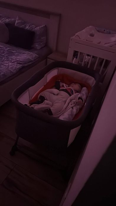 Patut bebelusi pe roti