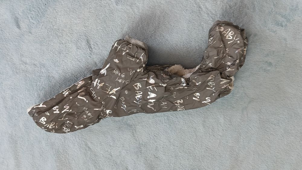 Одежда для собак