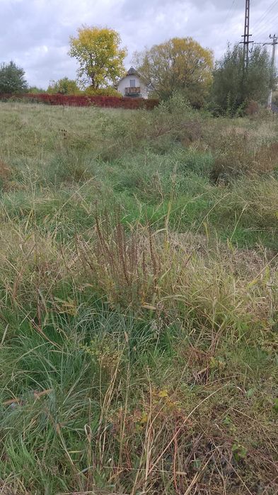 Teren de vânzare în Cisnădioara