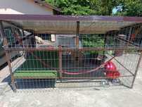 Cușcă metalica păsări , animale etc 2,5/1,8/1,5 Vând/ închiriez