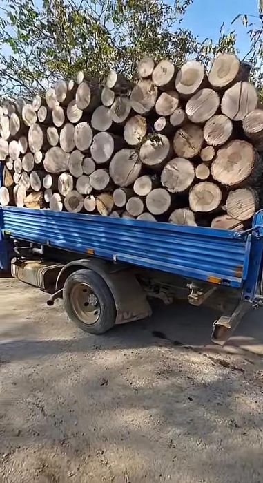 De vanzre lemne de esenta tare