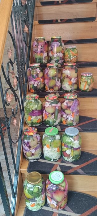 Vand muraturi asortate făcute în casă