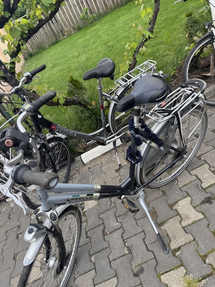Vand Biciclete dama Mtb Hidraulice pliabile ktm pegasus bulls