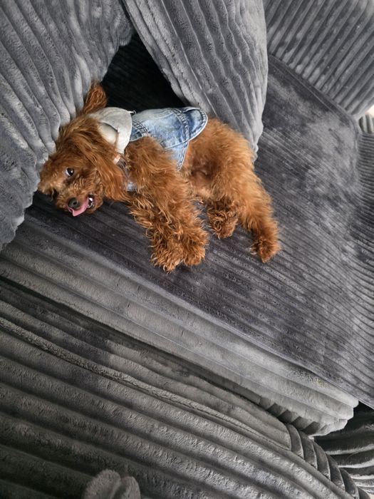 Тийкъп момиче на 1 година