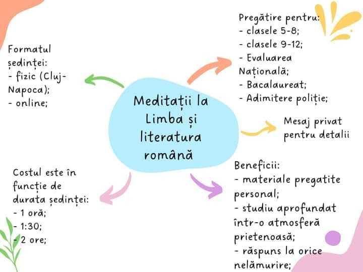 Meditații Limba și literatura română