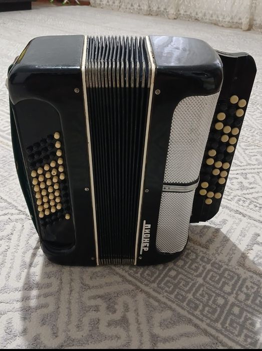 Гармошка 25000 тенге