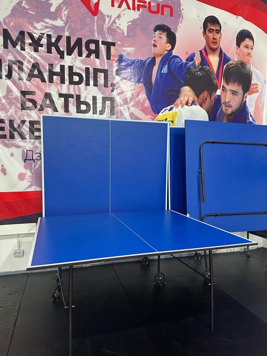 Настольный теннис Үстел Теннис