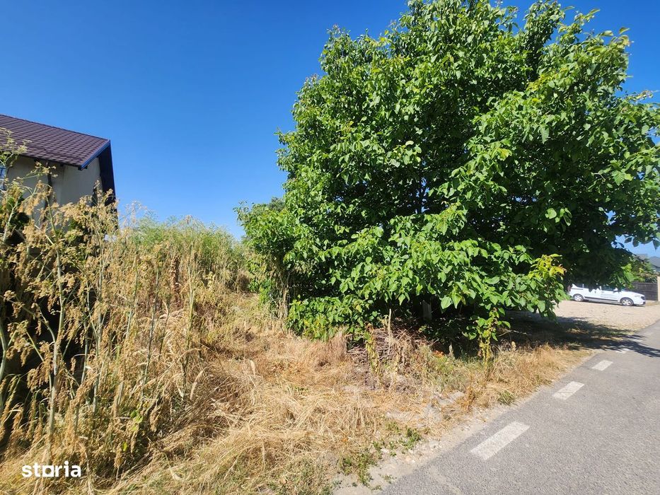 Teren intravilan de vanzare Stefanesti LIDL