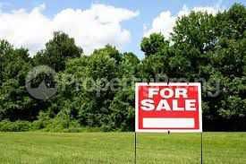 Moara Vlasiei - 11.000 mp, desc lac 36 m, priveliste, 11 EUR/mp