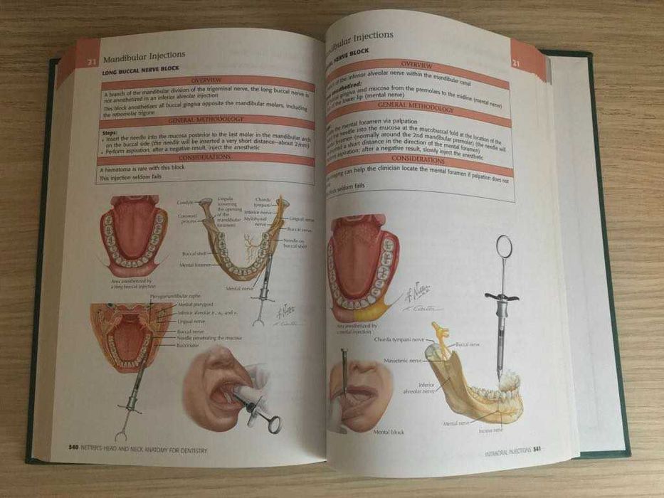 Atlas de Stomatologie - Netter's Head & Neck Anatomy For Dentistry