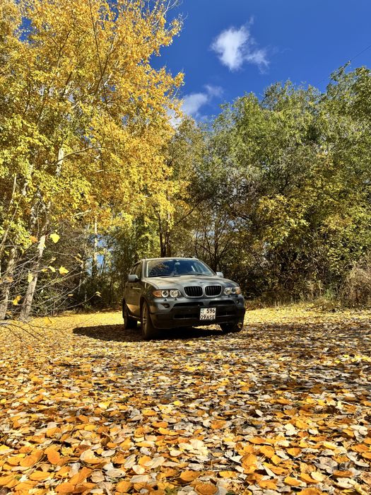 BMW X5 e53 2006 год