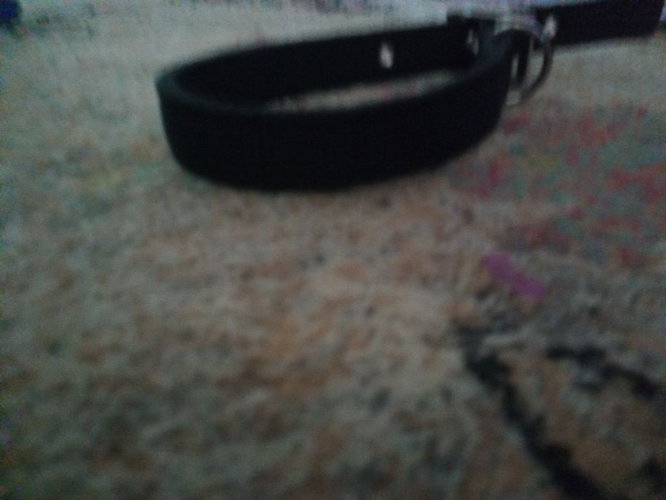 Zgărzii pântru câini medii