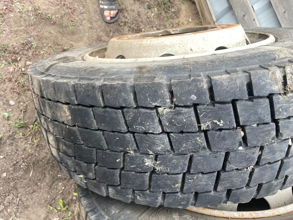 Авто  пакрышка на тигачя