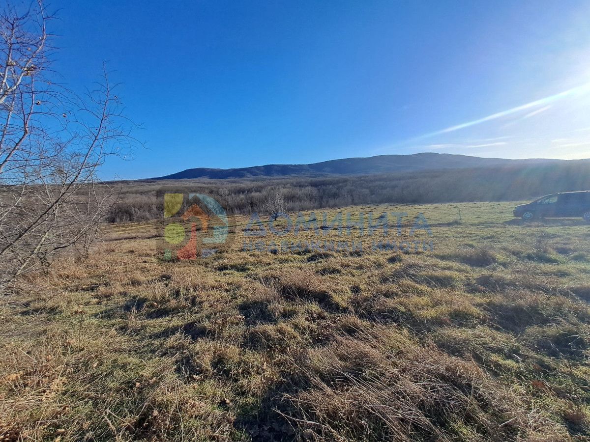 Продава се Земеделски имот в с. Велика, Област Бургас -  кв.м за 4875 €/дка - Снимка #5