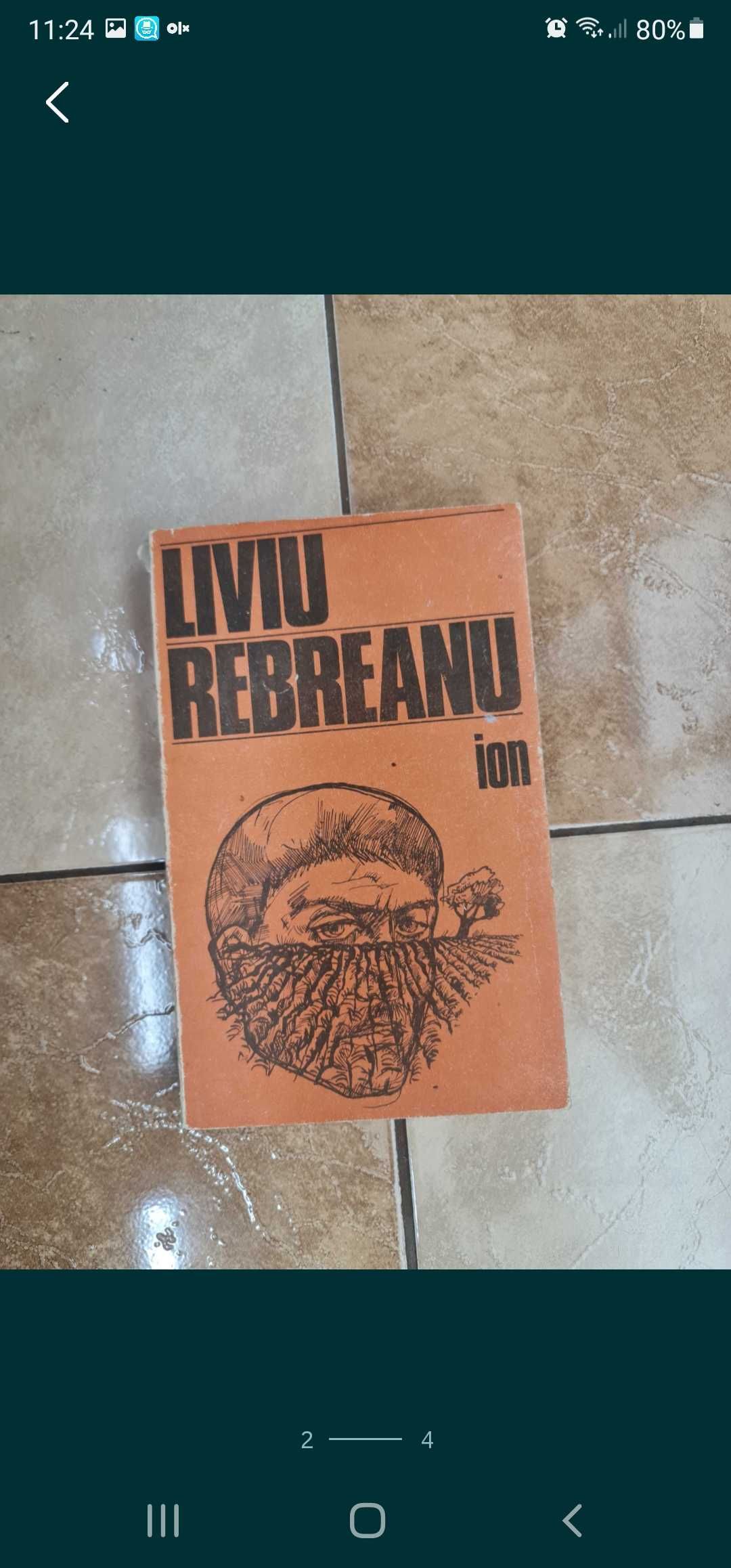 vand Liviu Rebreanu