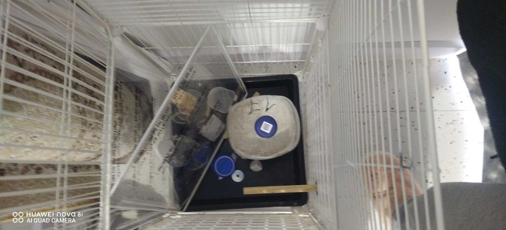 Продам срочно клетку