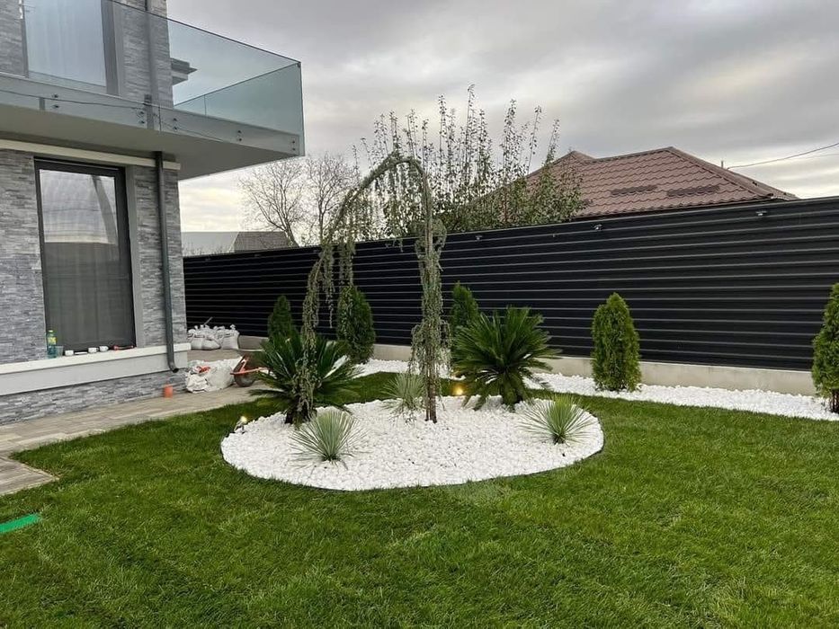 Vând plante ornamentale de cea mai buna calitate