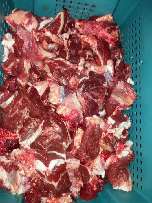 Натуралка корм мясо для кормления собак кошек в Алматы