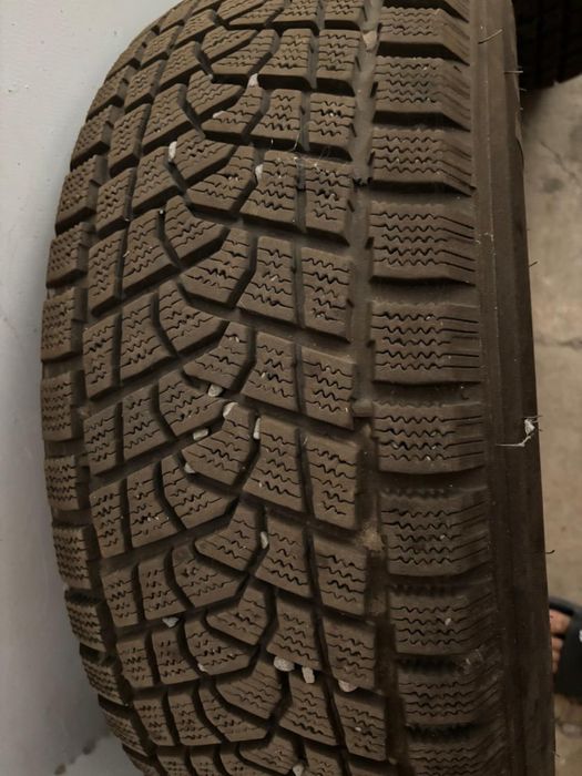 Зимние шины Triangle