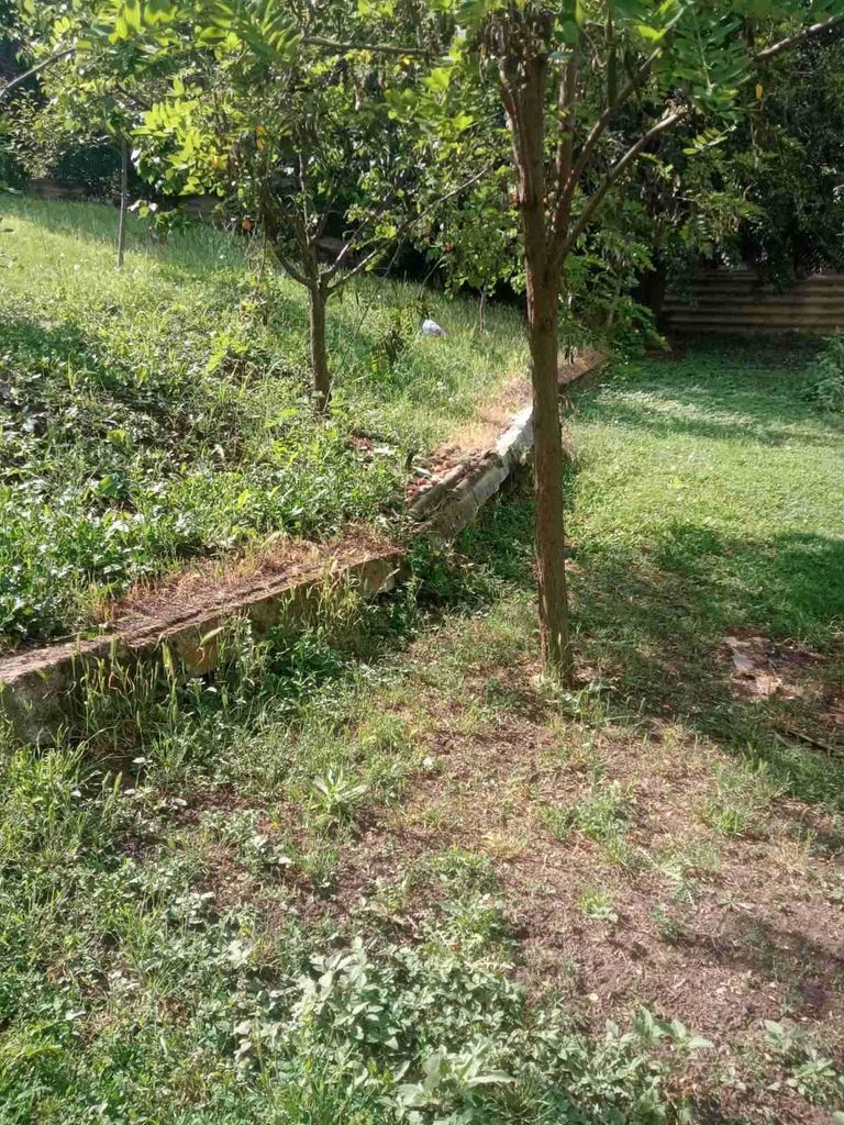 Продава се Парцел в Русе, Алеи Възраждане - 898 кв.м за 30 €/кв.м - Снимка #3