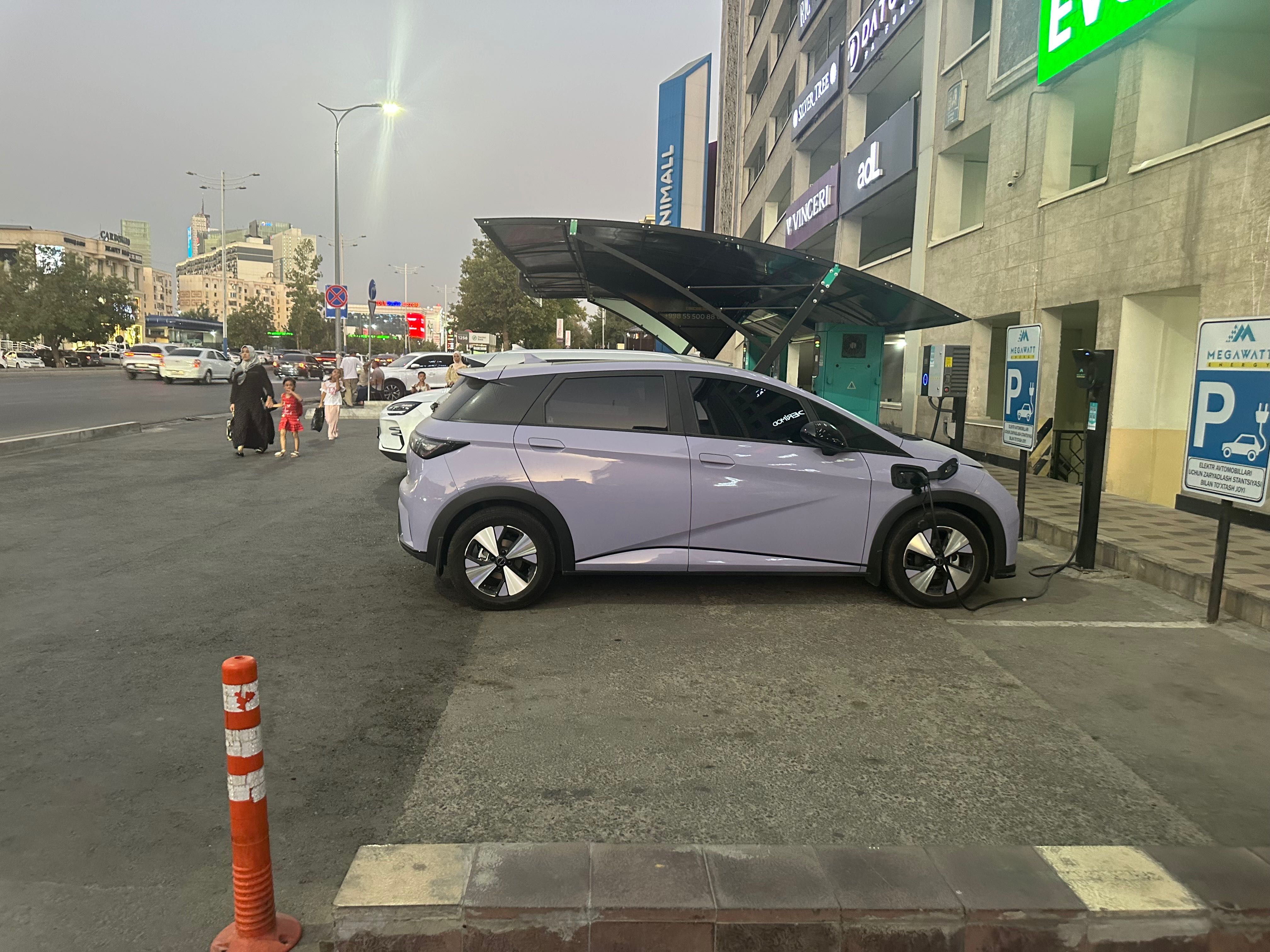 BYD Dolphin 2023 Fashion
