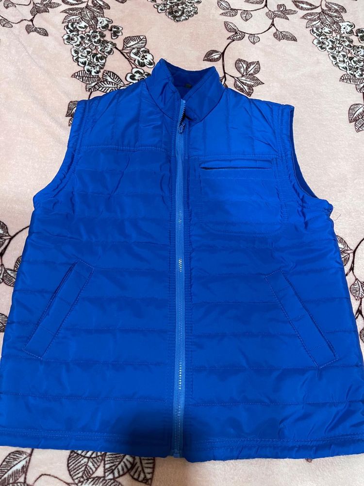 Vesta barbateasca M