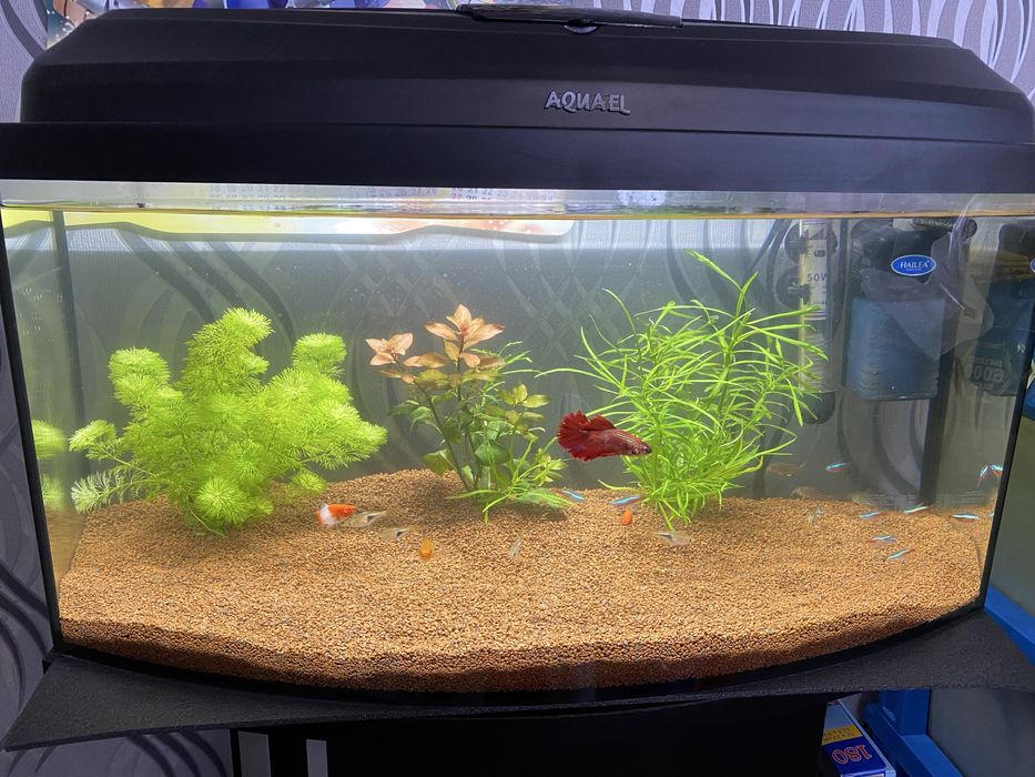 Продавам аквариум