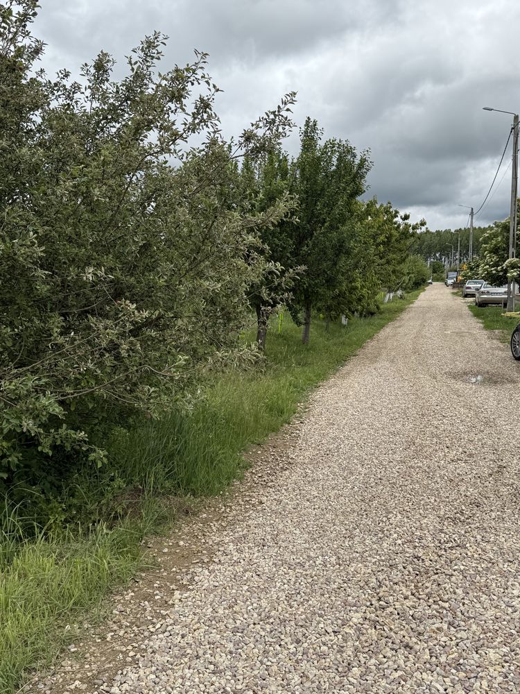 Vand Teren Intravilan 42 Arii zona Aquastar / Str.Stejarului