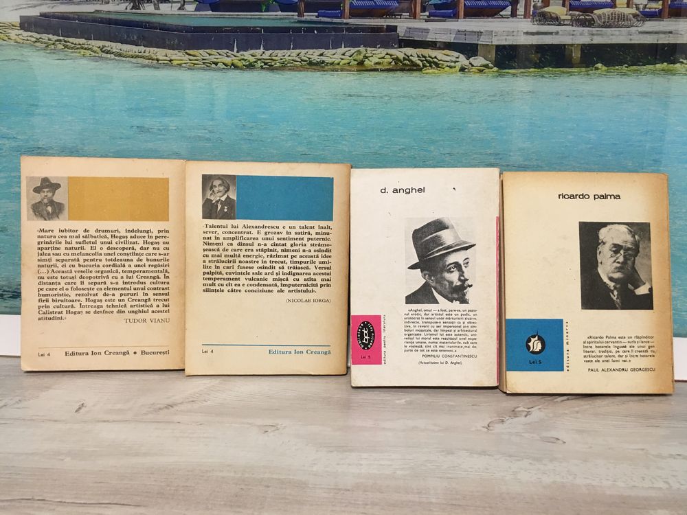 4 cărți: Pe drumuri de munte; Poezii-Proză; Poezii; Traditii peruane