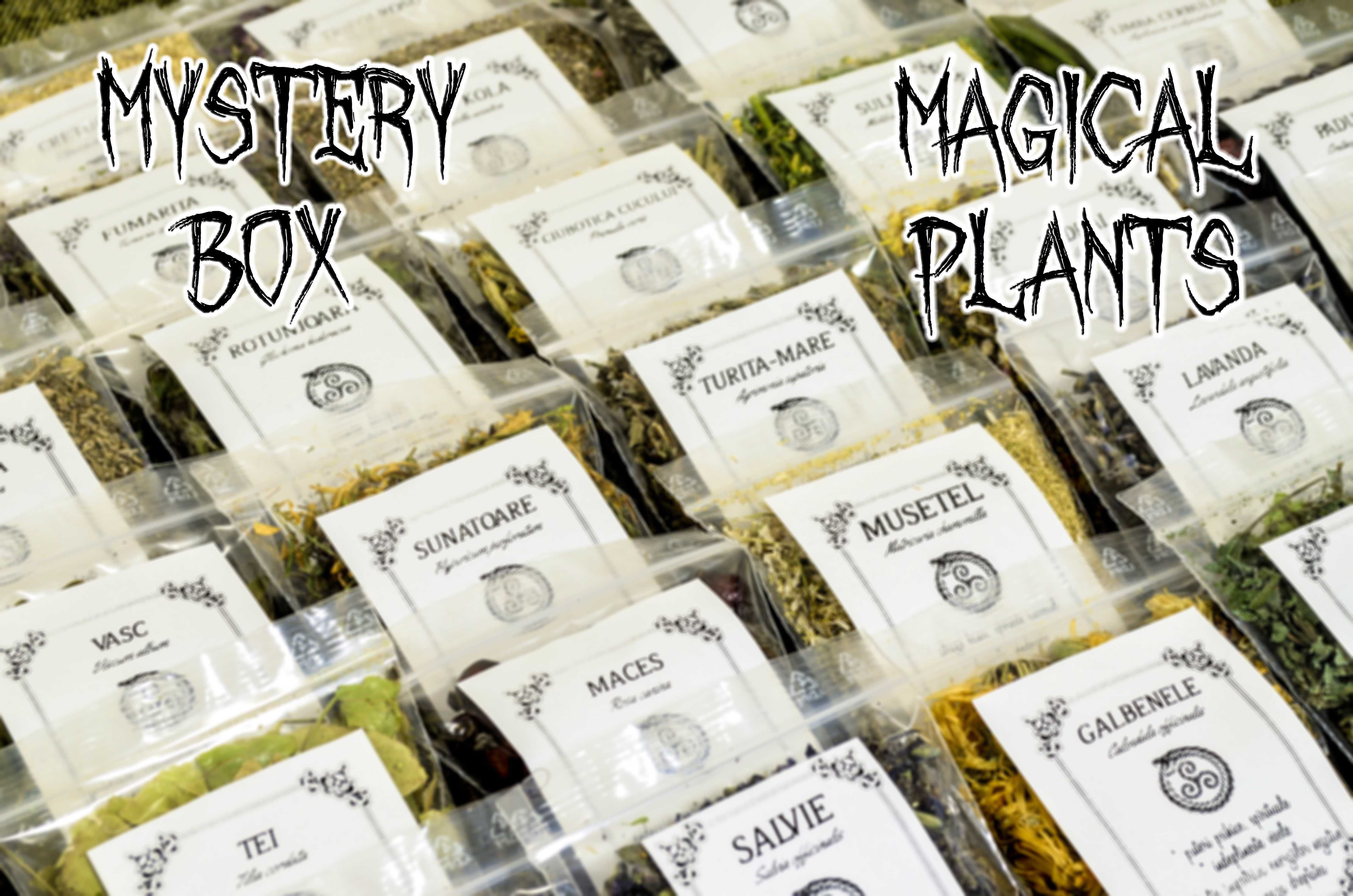 Mystery Box plante magice de leac vraji farmece ocult magie wicca ceai