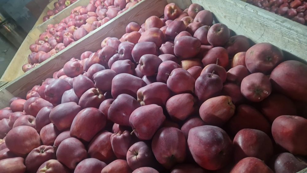 Vând  mere inport polonia orice cantitate  și orice soi. Prețul  2,5