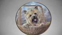 Farfurie decorativa Denbury Mint, catel yorkie - posibil cadou Craciun