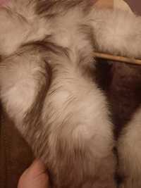 Cojoc de blana naturala cu guler de vulpe polara
