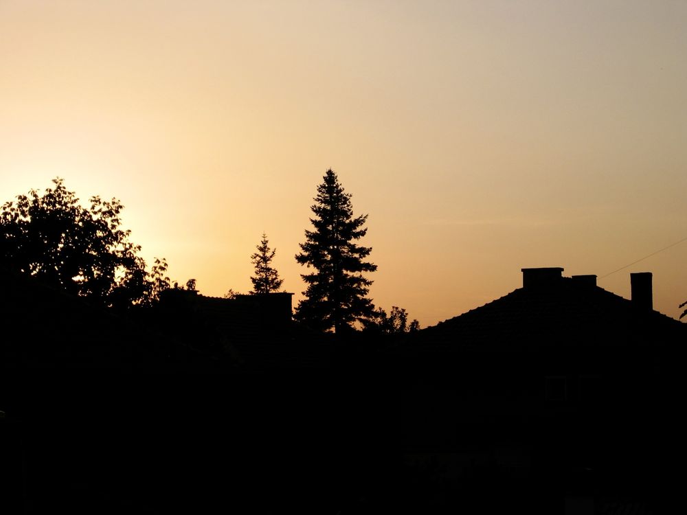Canon PoweShot S40